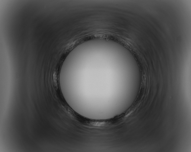 X0000086010575200703230913