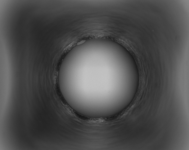 X0000086010576200703230913
