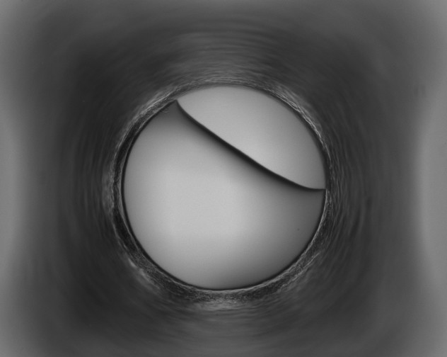 X0000086010578200703230913