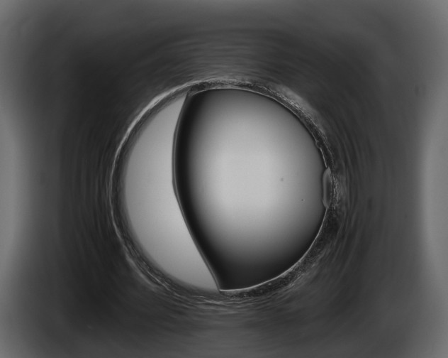 X0000086010580200703230913