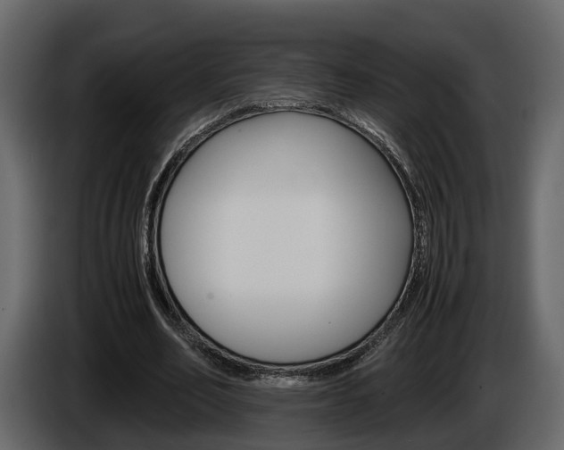 X0000086010582200703230913