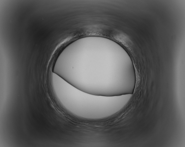 X0000086010583200703230913