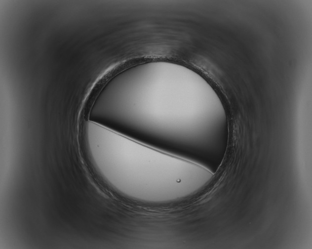 X0000086010584200703230913