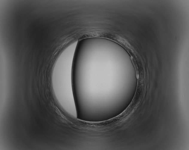 X0000086010585200703230913