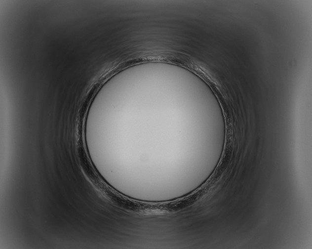 X0000086010586200703230913