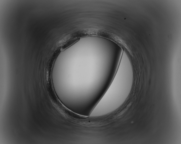 X0000086010589200703230912