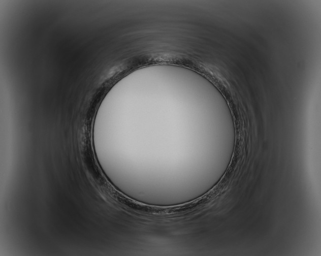 X0000086010591200703230912
