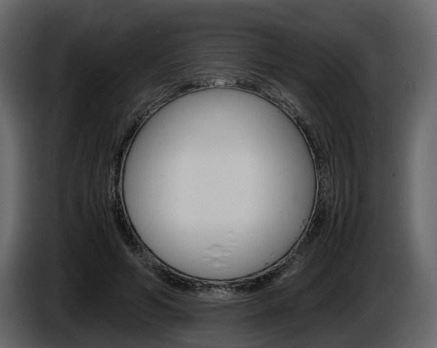 X0000086010594200703230912