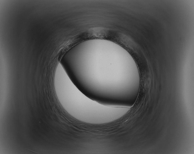 X0000086010595200703230912