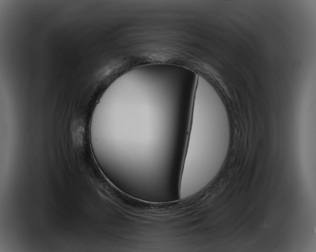 X0000086010596200703230912