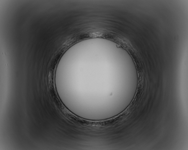 X0000086010598200703230912