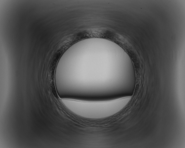 X0000086010599200703230912