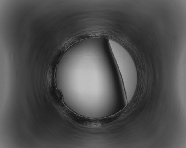 X0000086010600200703230912