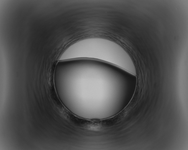 X0000086010604200703230912