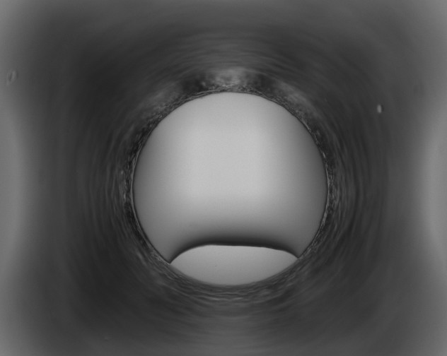 X0000086010606200703230912