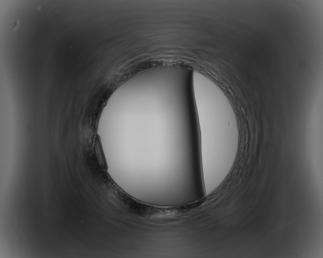 X0000086010609200703230912
