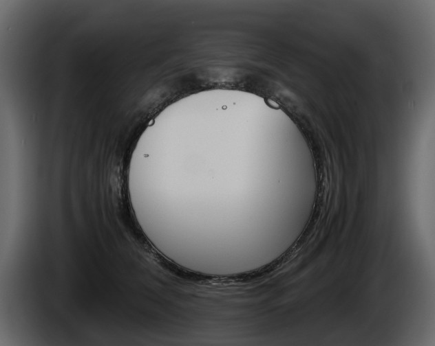 X0000086010612200703230912