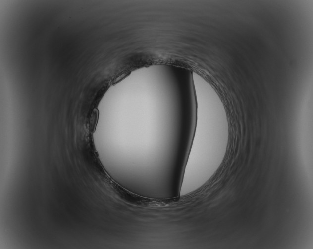 X0000086010613200703230912