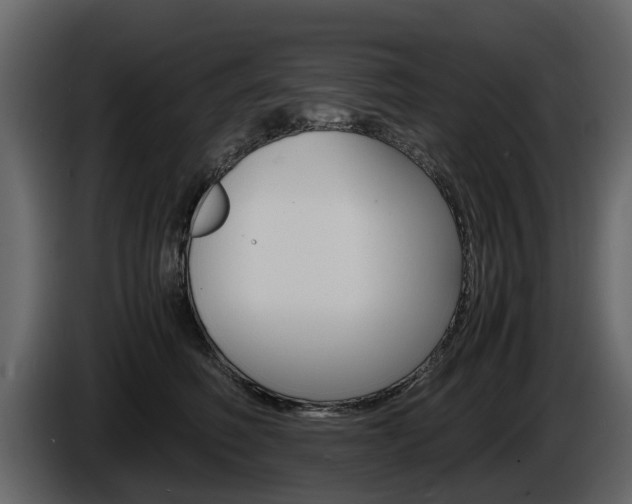 X0000086010614200703230912