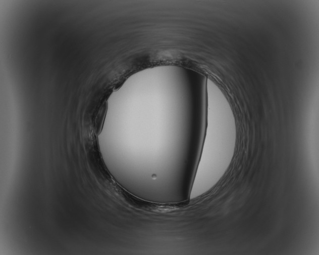 X0000086010617200703230912