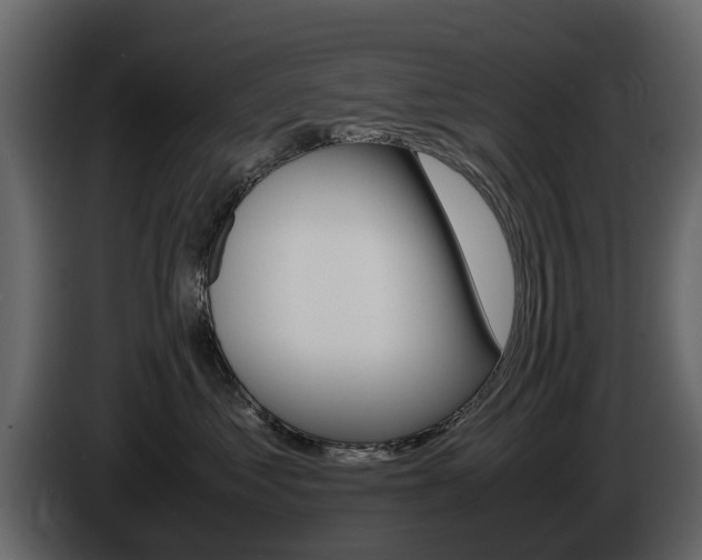 X0000086010621200703230912