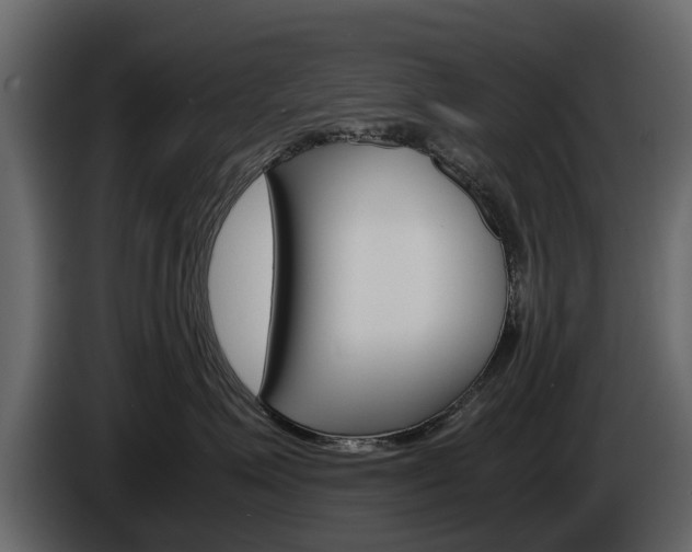 X0000086010623200703230912