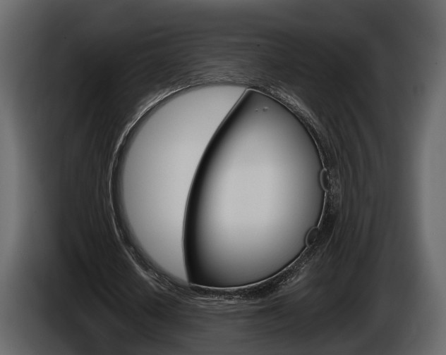 X0000086010626200703230911