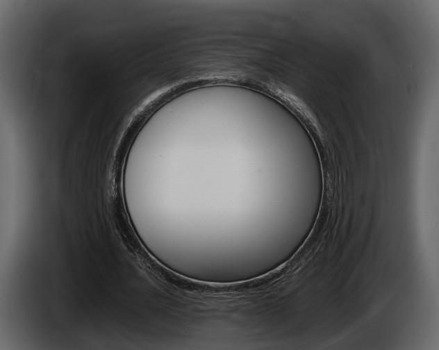 X0000086010628200703230911