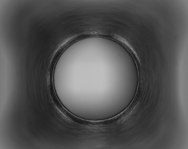X0000086010629200703230911
