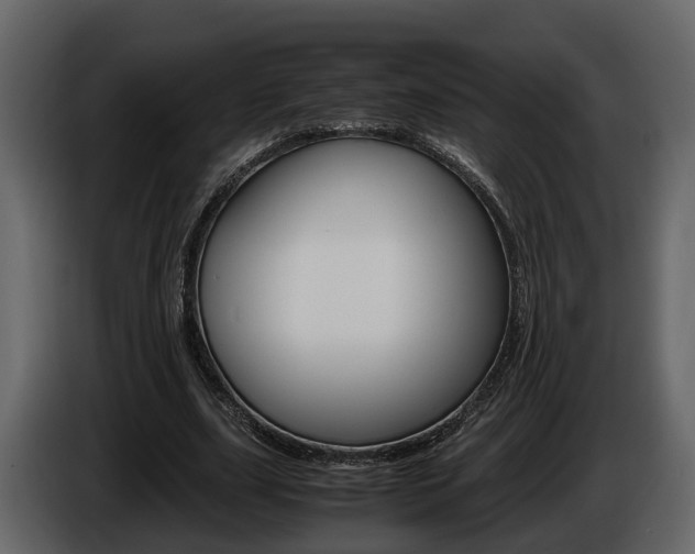 X0000086010631200703230911