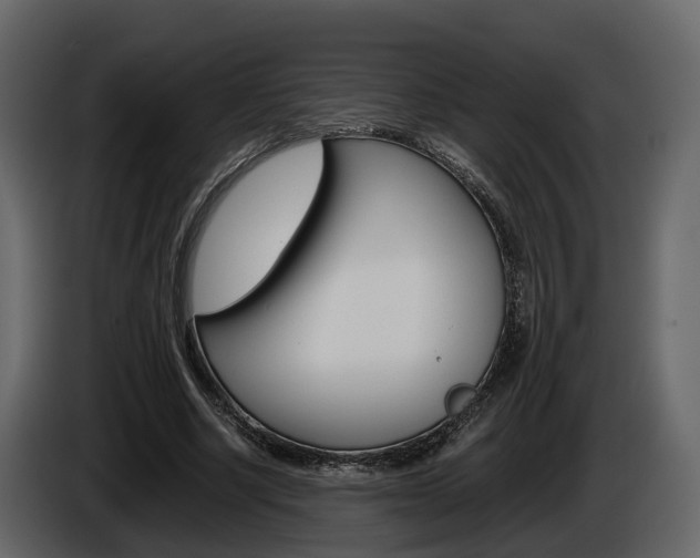 X0000086010634200703230911
