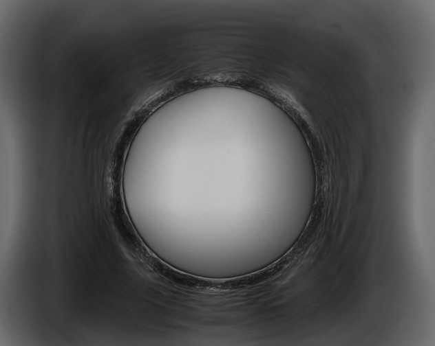X0000086010635200703230911
