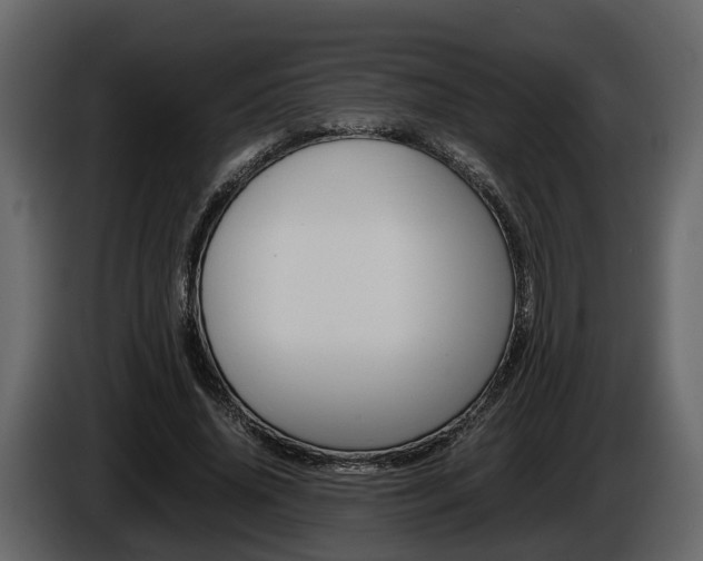 X0000086010636200703230911