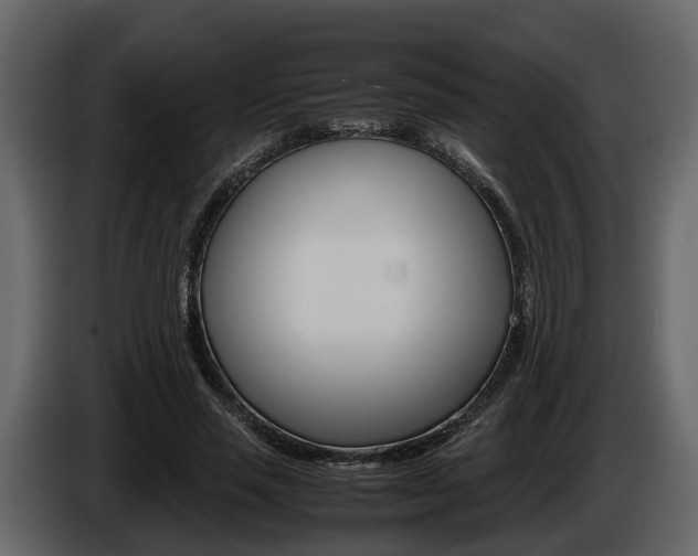 X0000086010637200703230911