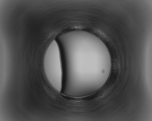 X0000086010639200703230912