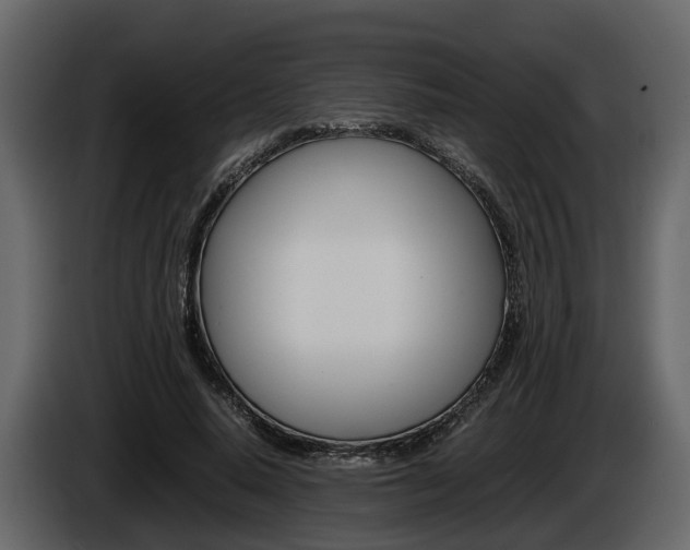 X0000086010640200703230912