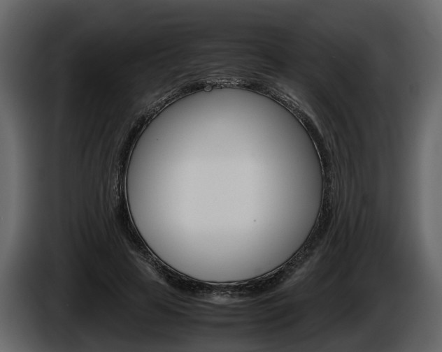 X0000086010641200703230912
