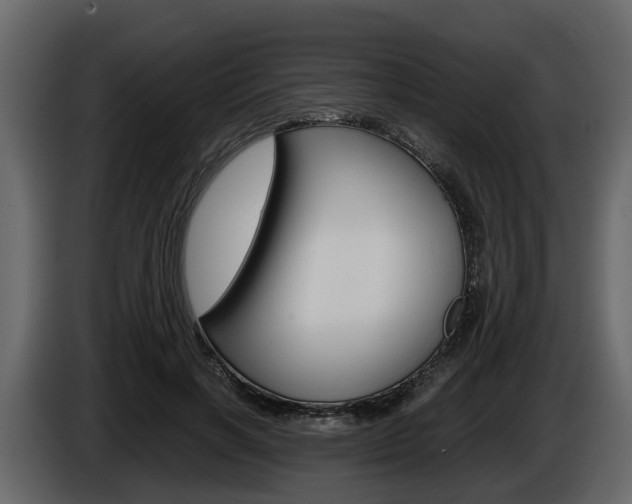 X0000086010646200703230912