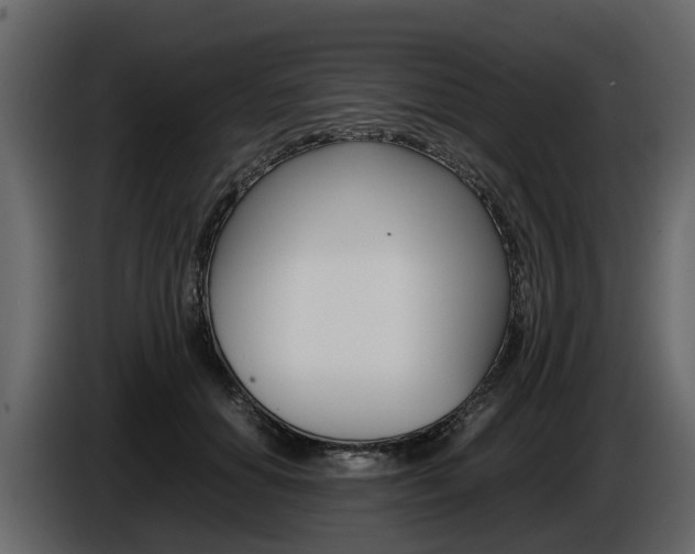 X0000086010654200703230912
