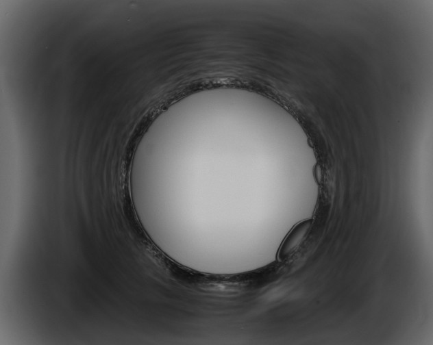 X0000086010657200703230912