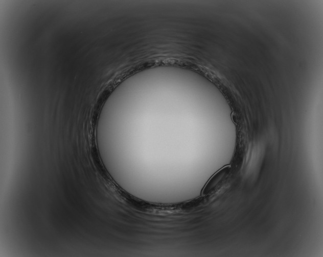 X0000086010661200703230912