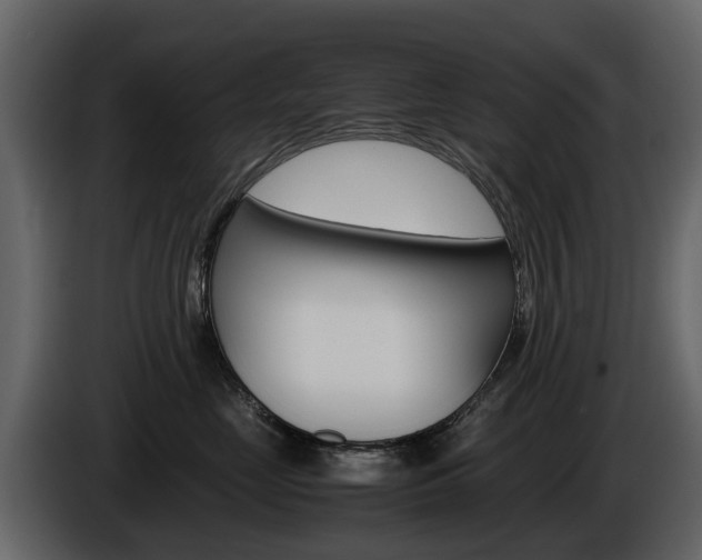 X0000086010669200703230912