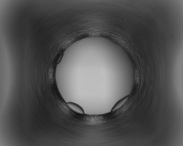 X0000086010670200703230912