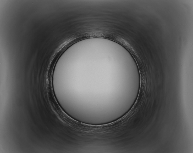X0000086010674200703230911