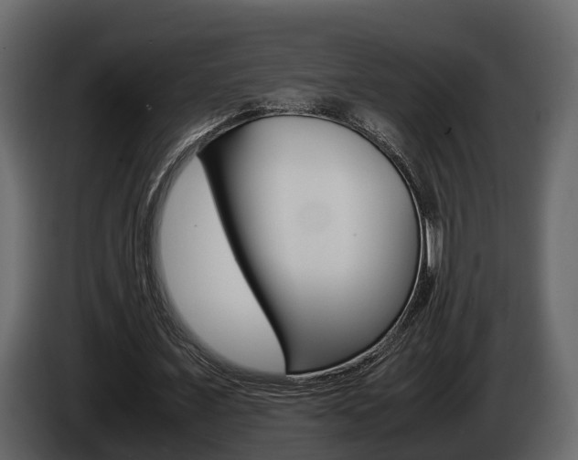 X0000086010675200703230911