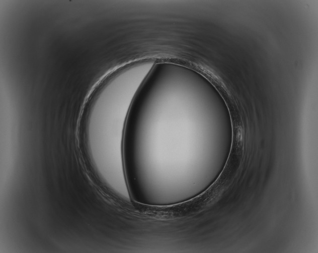 X0000086010676200703230911