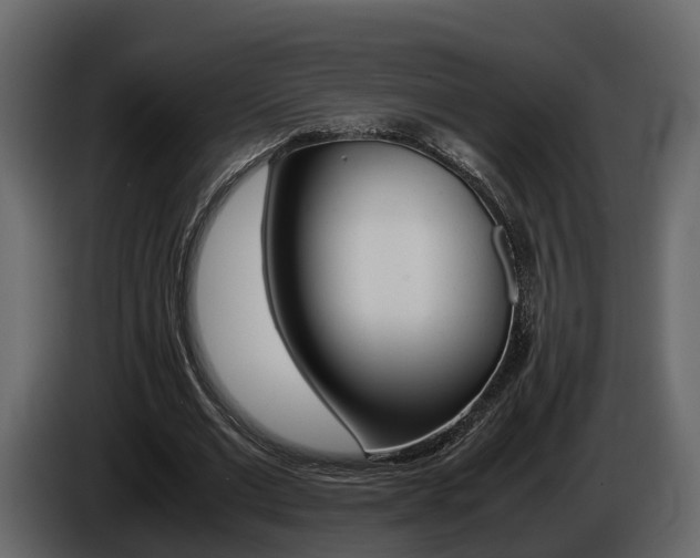 X0000086010677200703230911
