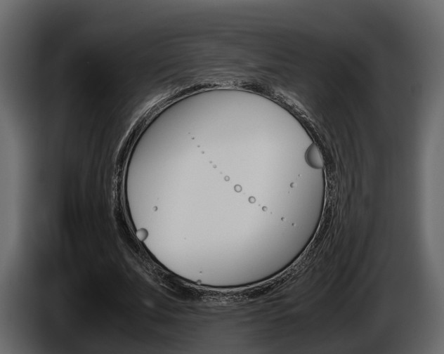 X0000086010679200703230911