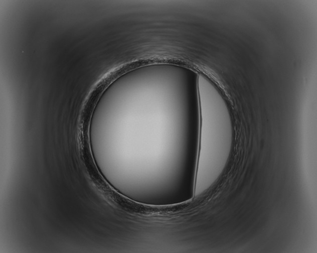 X0000086010680200703230911