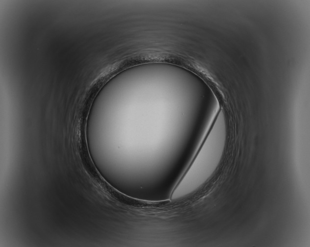 X0000086010681200703230911